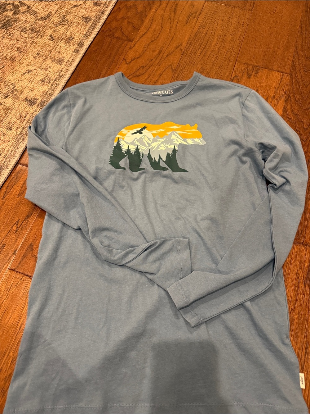 Crewcuts boys Long Sleeve Tee  NWT size XL (12-14)
